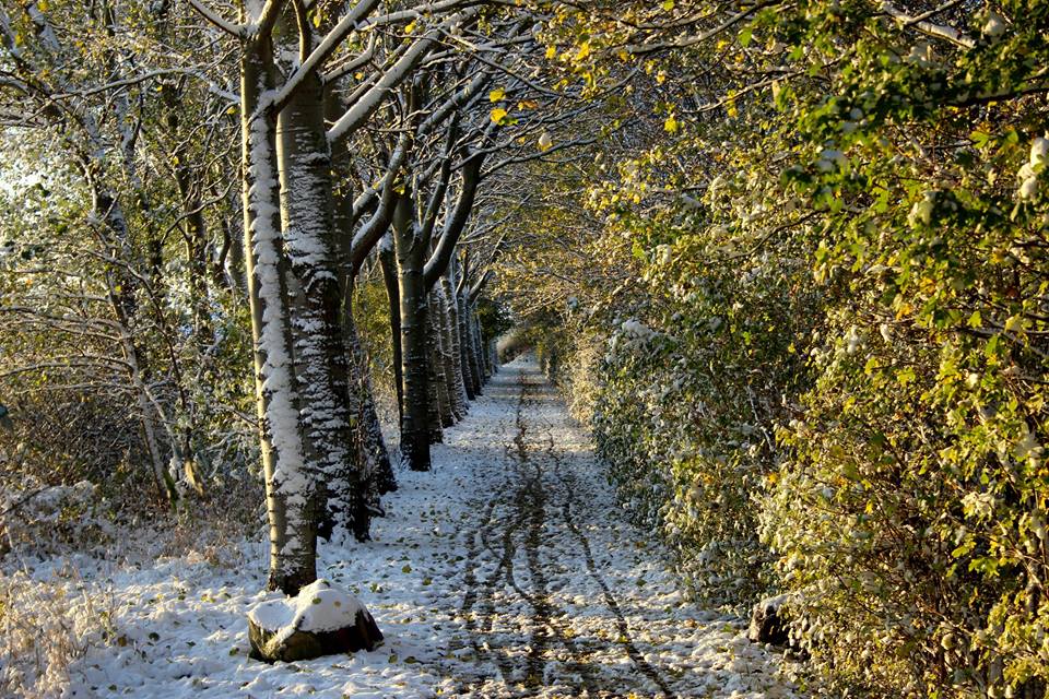 Gehweg im Schnee