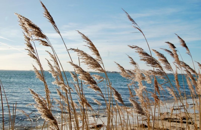 Ferienwohnung Ostwind